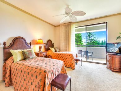Kapalua Condo 896358